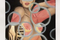 Gemma-Delgado_Bubbly-Anatomy