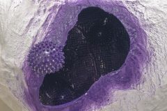 Javier-Quintero_Now-Whenever-I_m-Home-I-Can-Breathe-Easy_Detail-3